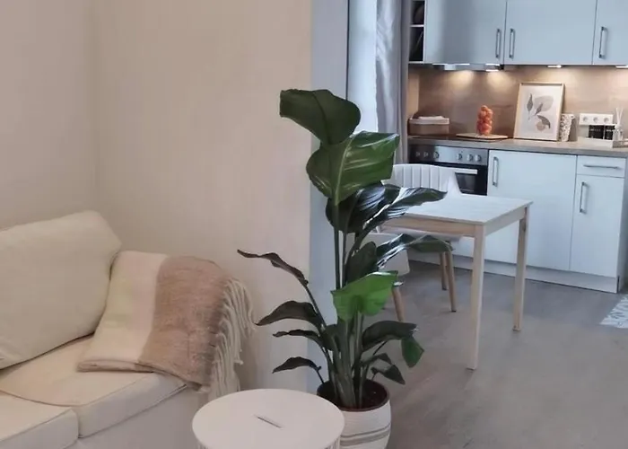 1 Barrierefrei In Berne